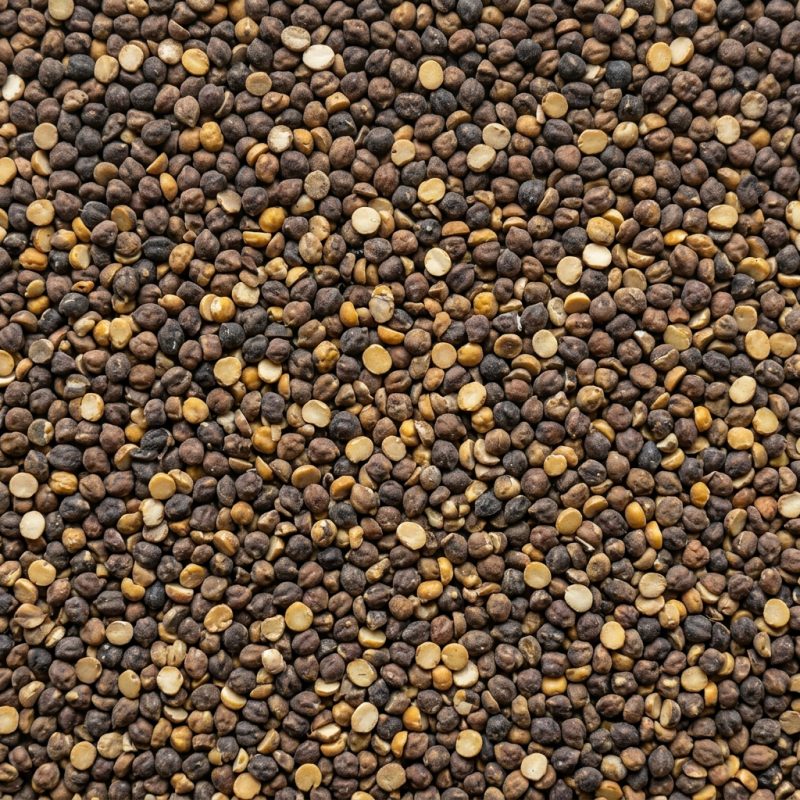 Black Chana Dal