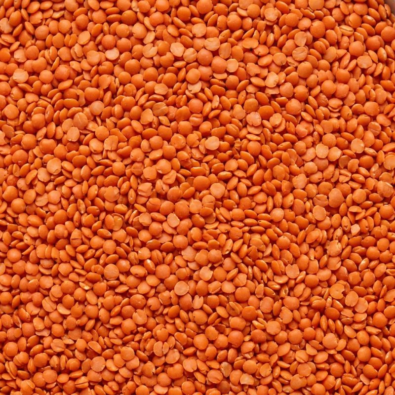 Masoor Dal Red (Lal Masoor)