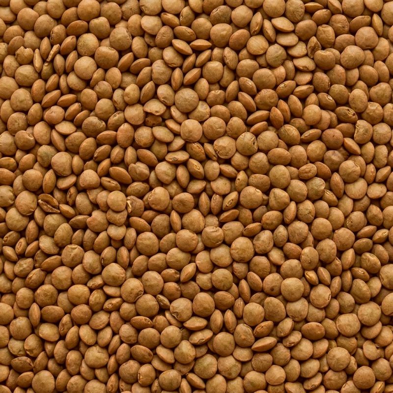 Moth Moong Dal (Matki)