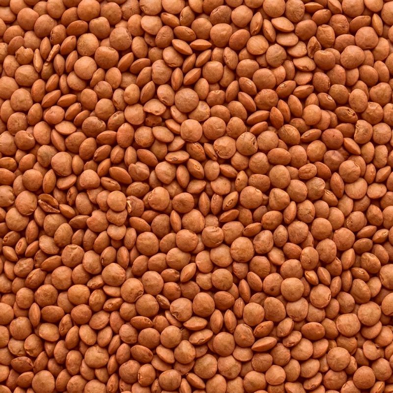 Whole Masoor Dal Red (Sabut Lal)