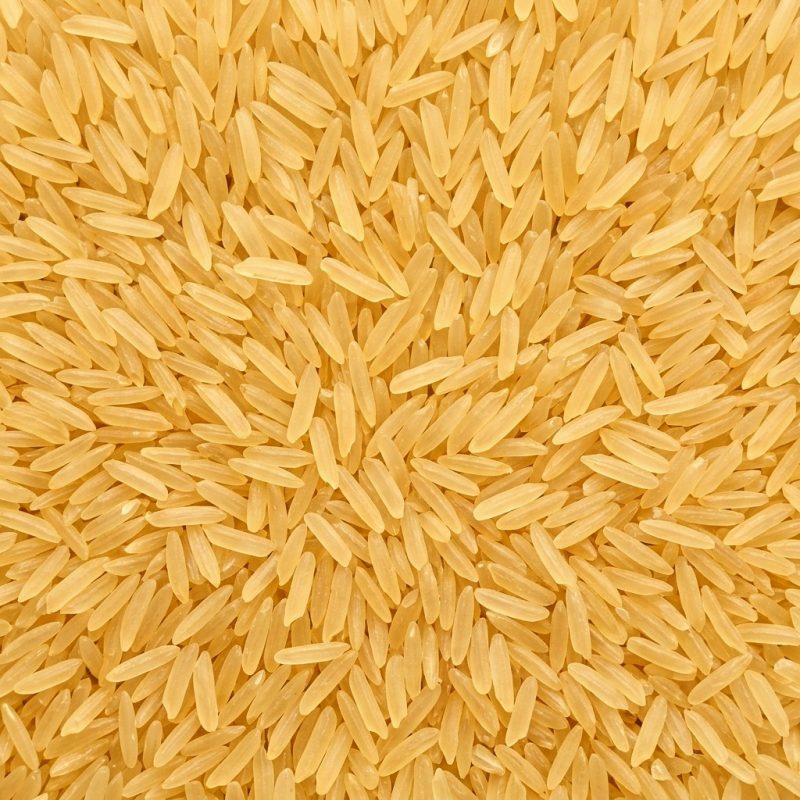 Whole Wheat Grains (Sharbati Gehun)
