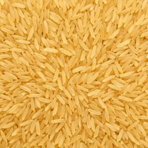 Whole Wheat Grains (Sharbati Gehun)