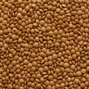 Moth Moong Dal (Matki)
