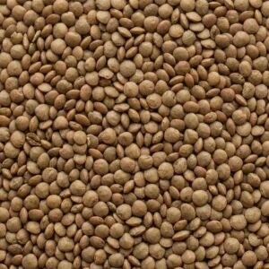 Masoor Dal Green (Sabut Masoor)