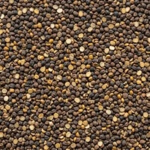 Black Chana Dal