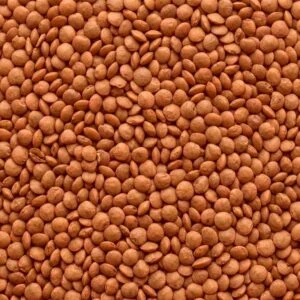 Whole Masoor Dal Red (Sabut Lal)